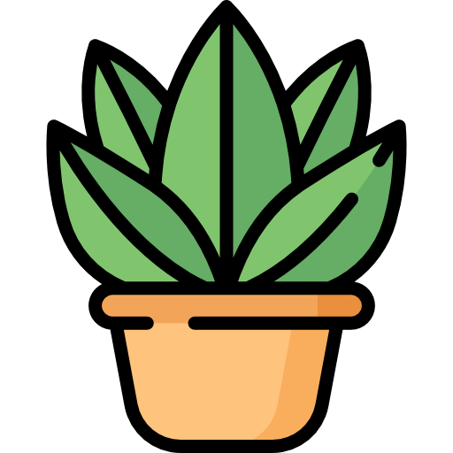 Plantes et Jardinières (Plants & Planters)